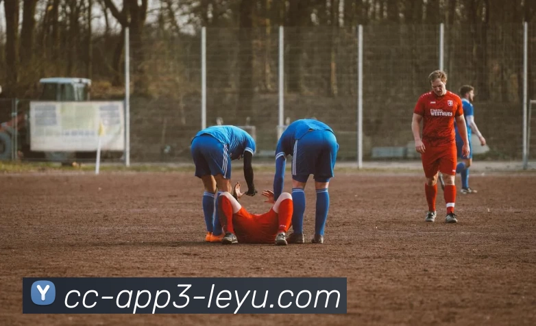 乐鱼体育全站App